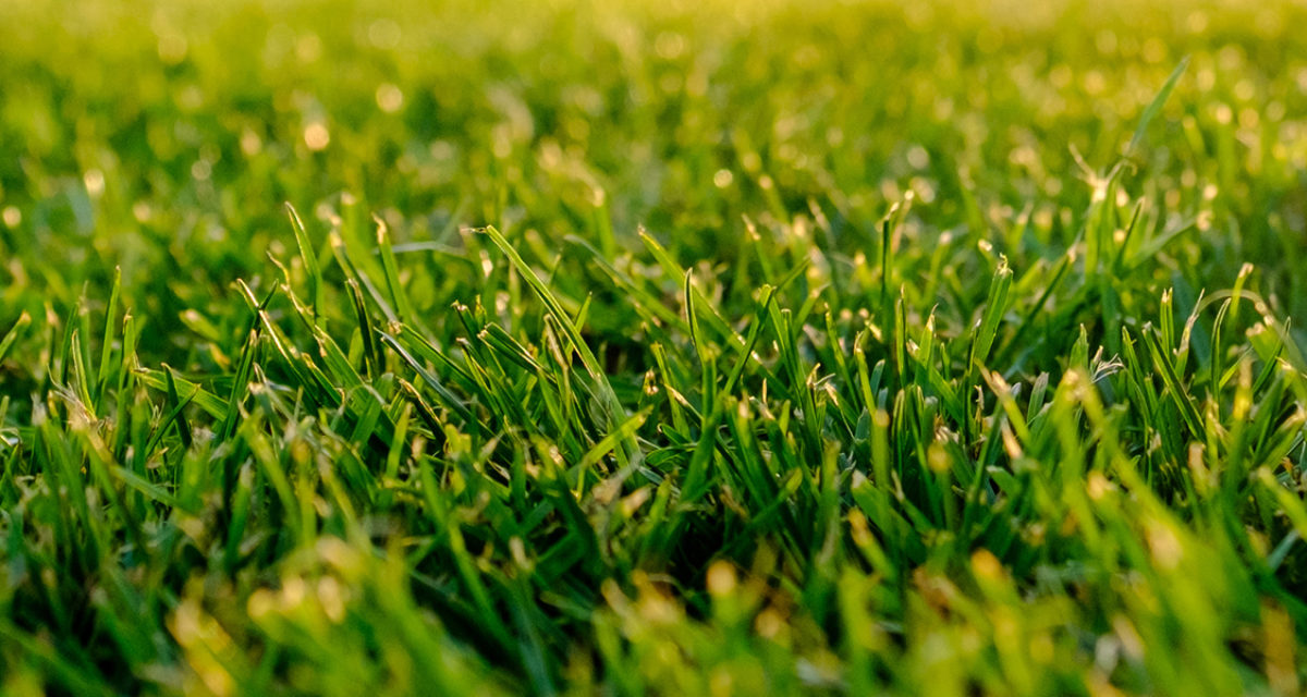 Nominer din kandidat til Byggenæringens klimapris